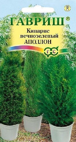 Кипарис Аполлон, семена Гавриш 0,1г