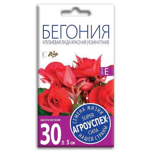 Бегония клубневая Лада Темно-красная F1, семена Агроуспех 8шт (100)