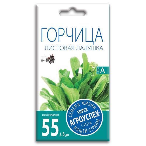 Горчица салатная Ладушка, семена Агроуспех 1г (200)