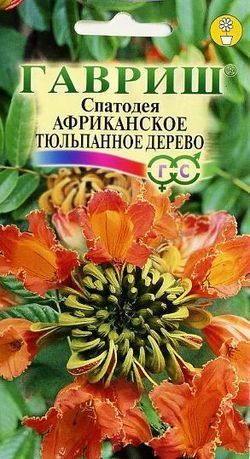 Спатодея Африканское тюльпанное дерево, семена Гавриш 0,05г