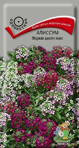 Алиссум Мэджик циклес микс, семена Поиск 0,1г