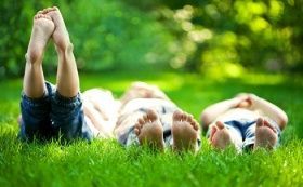 Советы по выращиванию газонов от LETTO