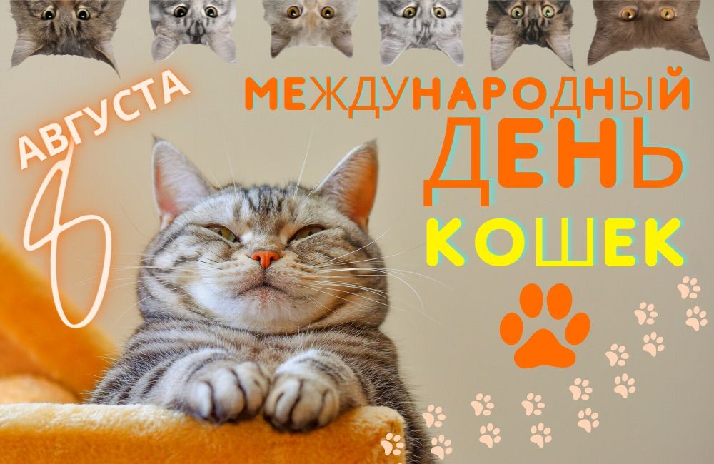 Сегодня мы празднуем Всемирный День Кошек! — полезные статьи