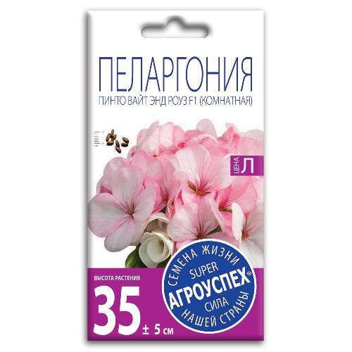 ЛцК/пеларгония Пинто Вайт энд Роуз F1 *4шт (500)