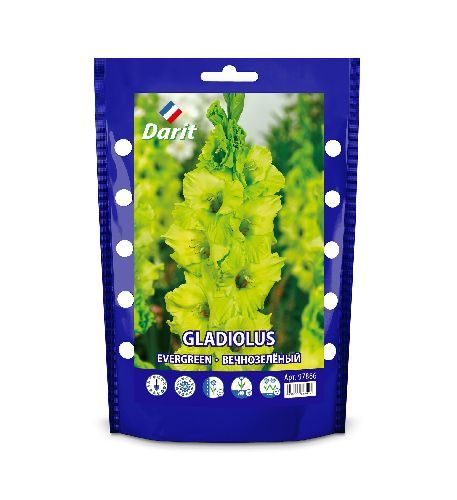 Дой-пак Гладиолус Вечнозелёный Gladiolus Evergreen 14/+(крупноцветк., зеленый) 5шт