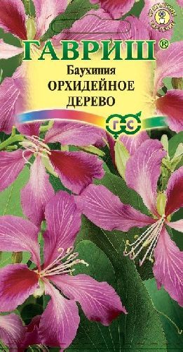 Баухиния Орхидейное дерево, семена Гавриш 3шт