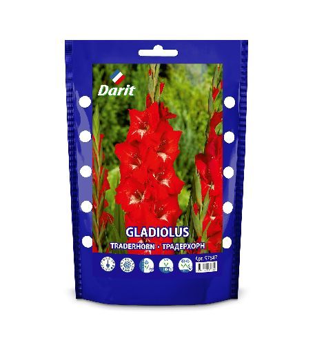 Дой-пак Гладиолус Традерхорн Gladiolus Traderhorn 10/12 (крупноцветк., баттерфляй, алый) 7шт