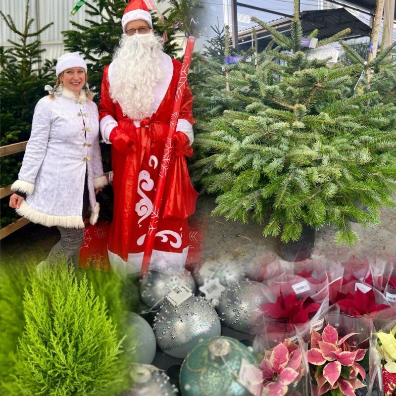 Приходите за новогодним настроением в LETTO!