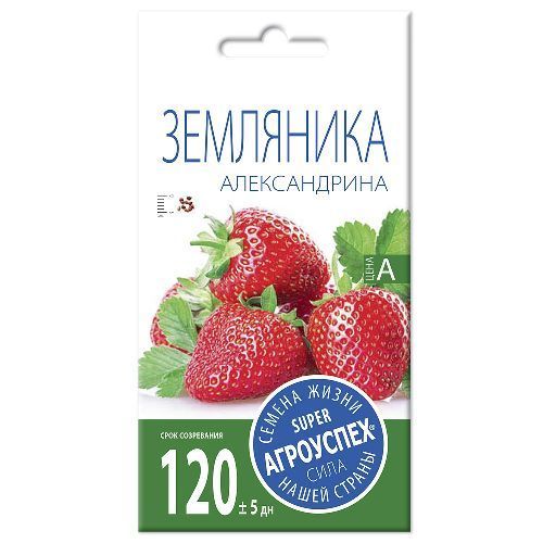 Земляника Александрина, семена Агроуспех 0,05г (400)