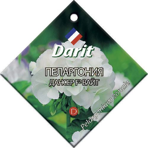 Пеларгония Дансер Вайт F2, семена Дарит 4шт (500)