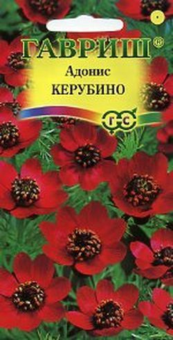 Адонис Керубино летний, семена Гавриш 0,1г