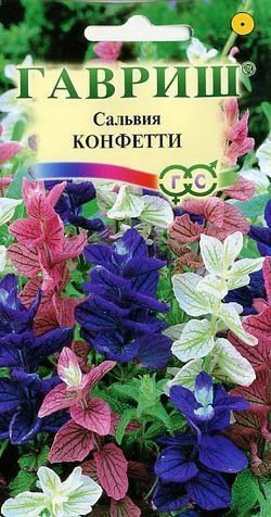 Сальвия Конфетти, семена Гавриш 0,05г