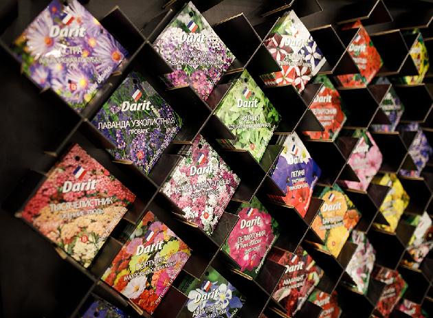 Darit – новая коллекция семян премиум-класса