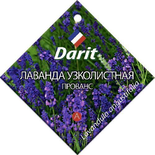 Лаванда узколистная Прованс, семена Дарит 0,1г (400)