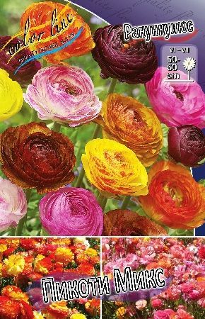 Ранункулюс Пикоти Микс Ranunculus Picotee Mixed 5/6 5шт, капер, Колорлайн