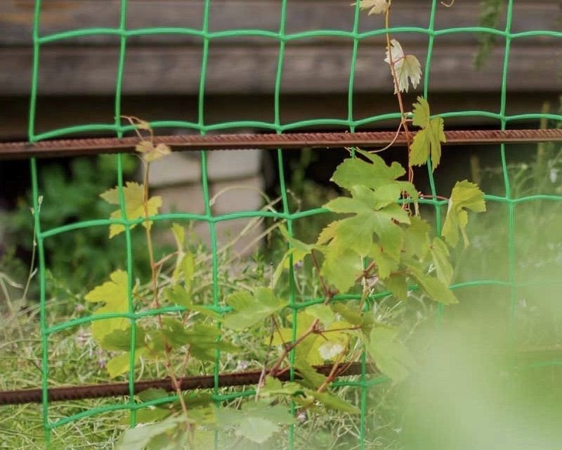 Почему пластиковые садовые сетки лучше металлических?