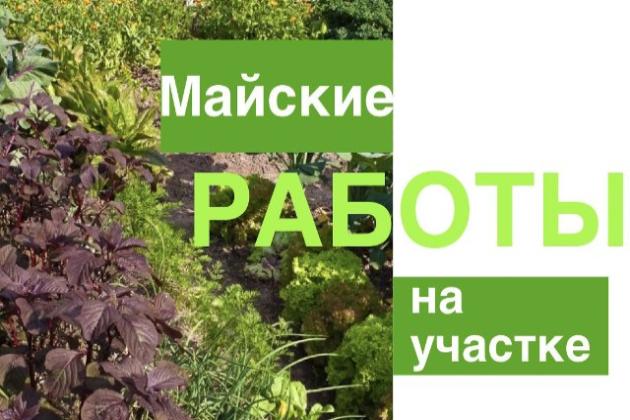 Какие майские работы нужно сделать в саду и в огороде?