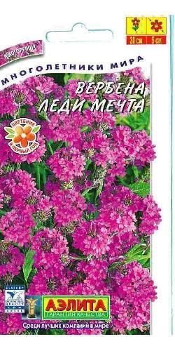 Вербена Леди мечта, семена Аэлита 30шт