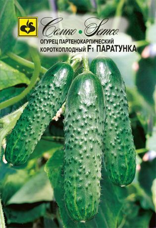 Огурец Паратунка F1, семена Семко 5шт