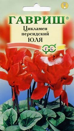 Цикламен Юля, семена Гавриш 3шт