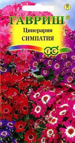 Цинерария Симпатия, семена Гавриш 8шт