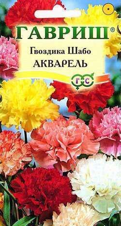 Гвоздика шабо Акварель, семена Гавриш 0,05г