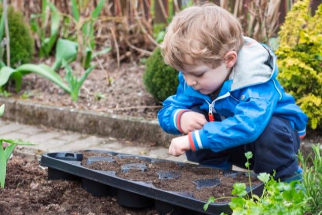 Что посадить или посеять на огороде в мае?