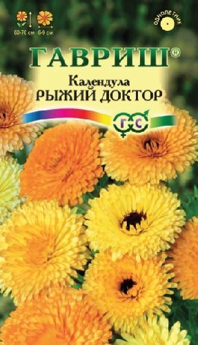 Календула Рыжий доктор, семена Гавриш 0,3г