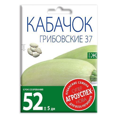 Кабачок Грибовский 37, семена Агроуспех НОВА 15г