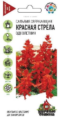 Сальвия (шалфей) Красная стрела, семена Гавриш 0,05г