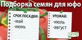 Подборка сортов томатов и огурцов для посева в мае и июне