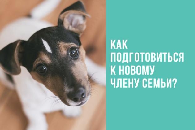 Как подготовиться к новому члену семьи?