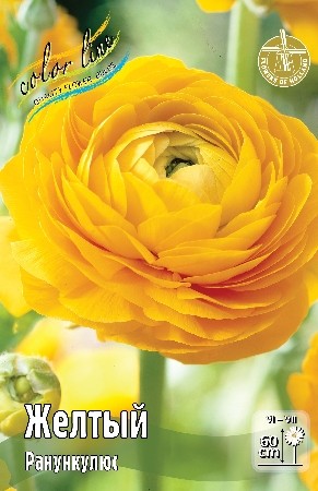 Ранункулюс Желтый Ranunculus Yellow 6/7 10шт, капер, Колорлайн