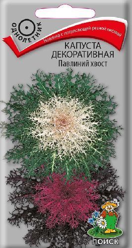 Капуста декоративная Павлиний хвост, семена Поиск 7шт