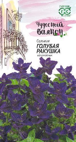 Сальвия Голубая ракушка, семена Гавриш Чудесный балкон 0,05г