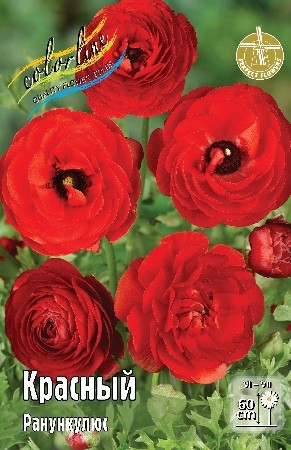 Ранункулюс Красный Ranunculus Double Red 6/7 10шт, капер, Колорлайн