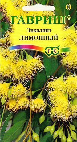Эвкалипт лимонный Флагман, семена Гавриш 0,05г
