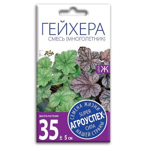 Гейхера смесь М драже, семена Агроуспех 5шт (100)