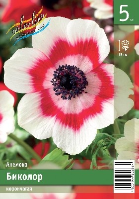 Анемона Биколор Anemone coronaria Bicolor 5/6 5шт, капер, Колорлайн