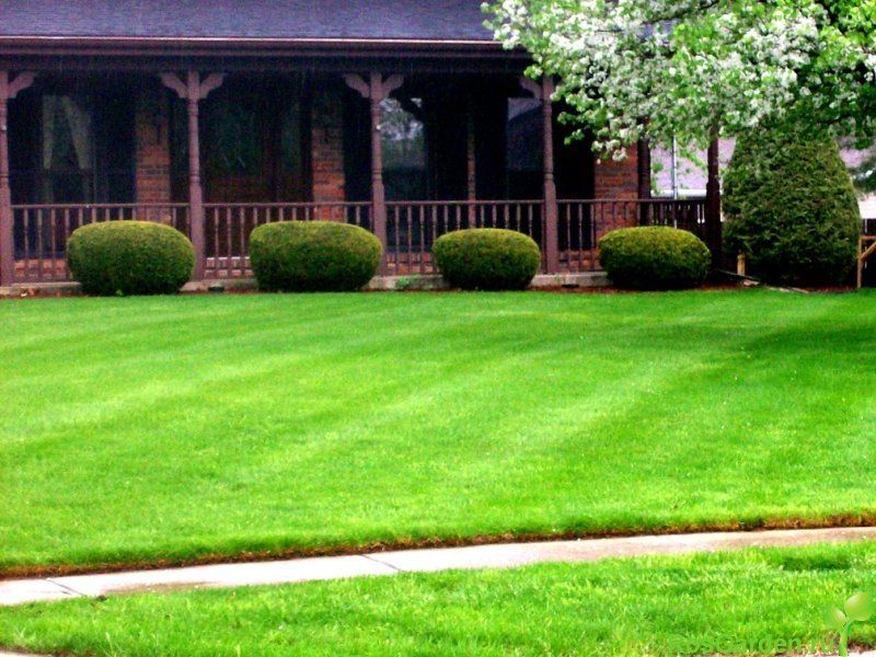 Календарь ухода за газоном