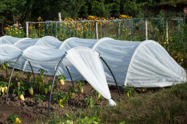 Парники из Алтая по отличным ценам 