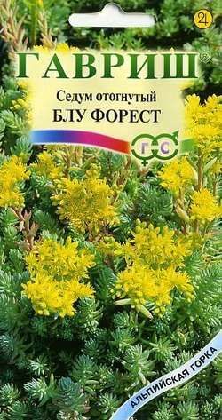 Седум Блу Форест отогнутый, семена Гавриш Альпийская горка 0,01г