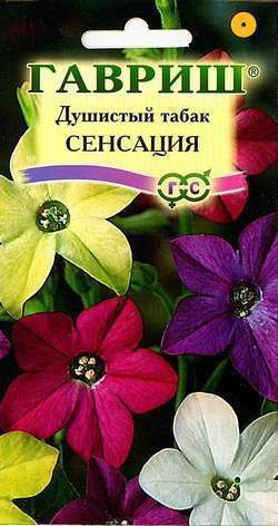 Табак душистый Сенсация, семена Гавриш 0,05г
