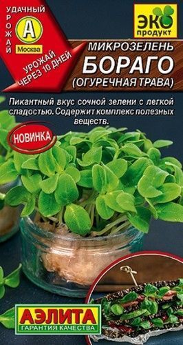 Огуречная трава Бораго, семена Аэлита Микрозелень (для подоконника) 3г