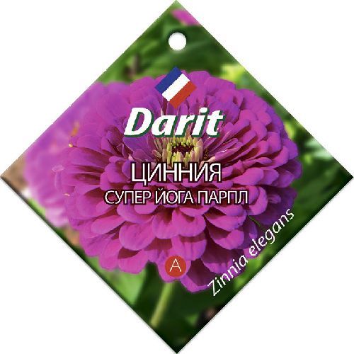 Цинния Супер Йога Парпл, семена Дарит 0,5г (250)