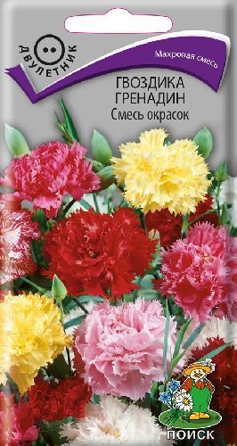 Гвоздика Гренадин смесь окрасок, семена Поиск 0,25г