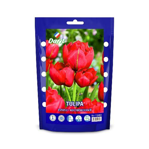 Дой-пак Тюльпан поздний рубин-красный Красная гордость/Tulipa Red Proud 12/14, Darit 5шт/уп