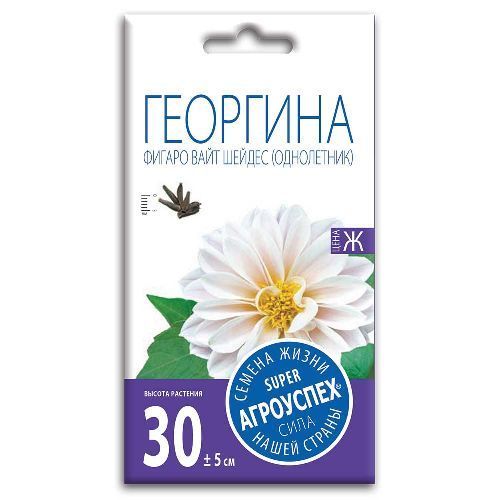 Георгина Фигаро Вайт Шейдес, семена Агроуспех 7шт (400)