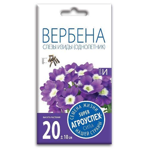 Вербена Слезы Изиды, семена Агроуспех 7шт (400)