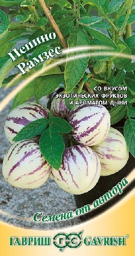 Пепино Рамзес, семена Гавриш Автор 5шт